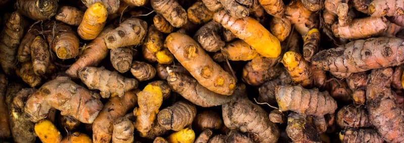 Turmeric Root Health Benefits