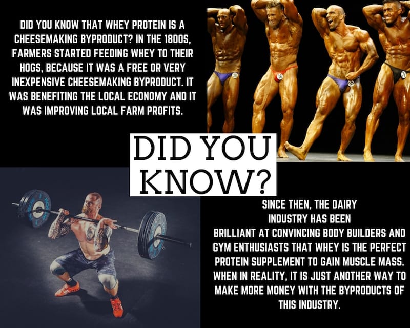 Whey Protein Side Effects