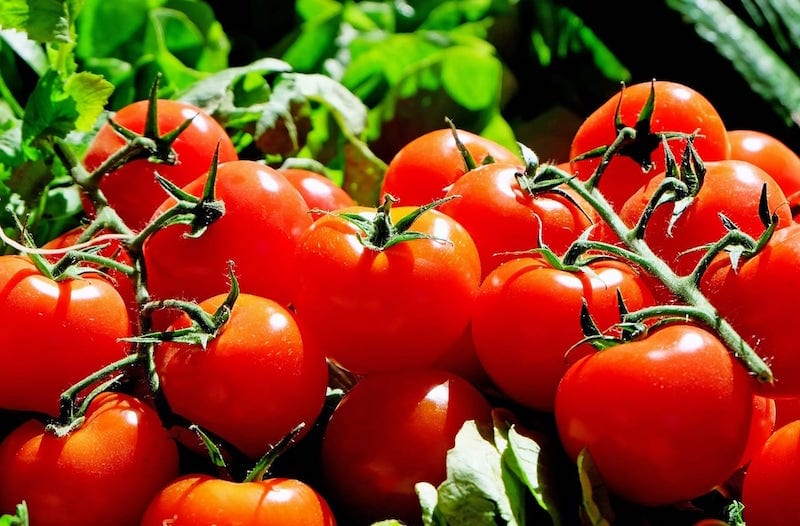 Fat Burning Foods - Tomatoes