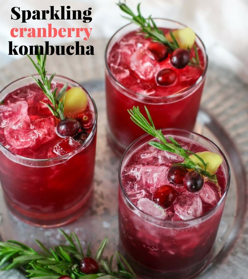 Unique Non alcoholic drinks cranberry Kombucha