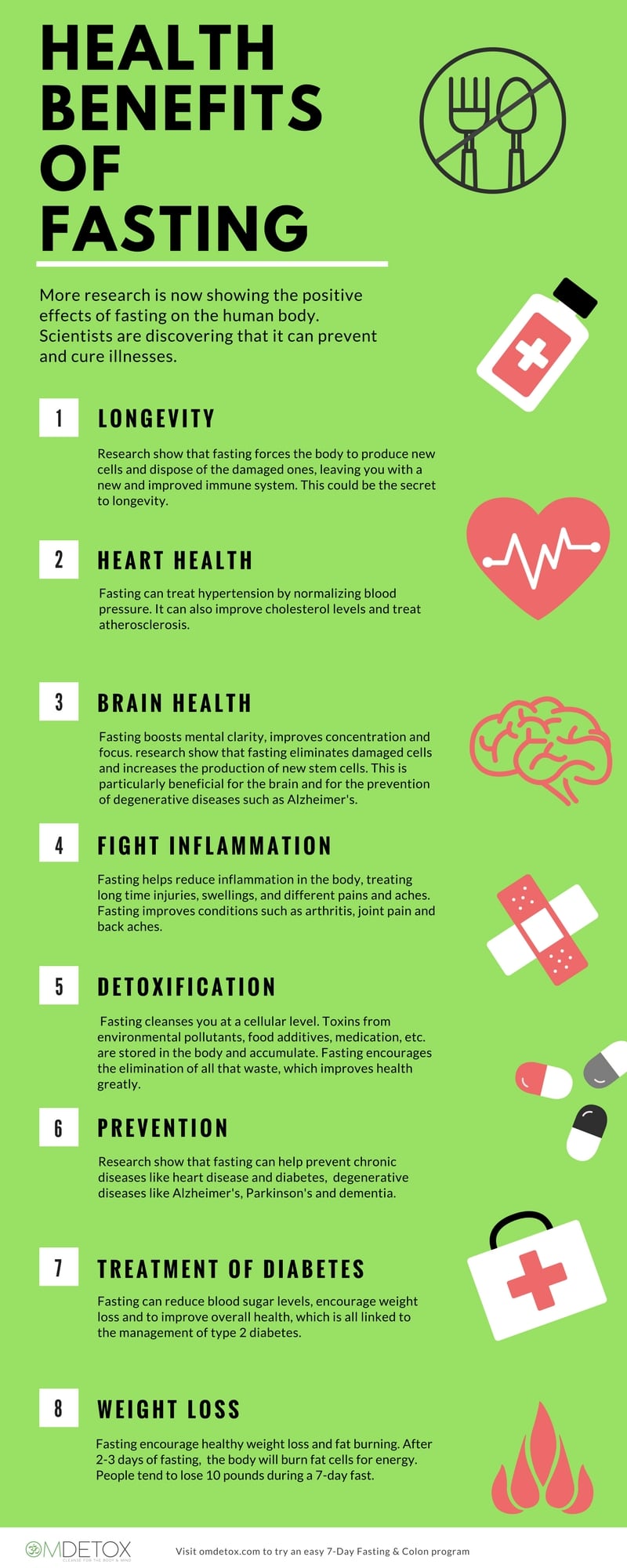 what-is-fasting-what-happens-in-the-body-when-you-fast