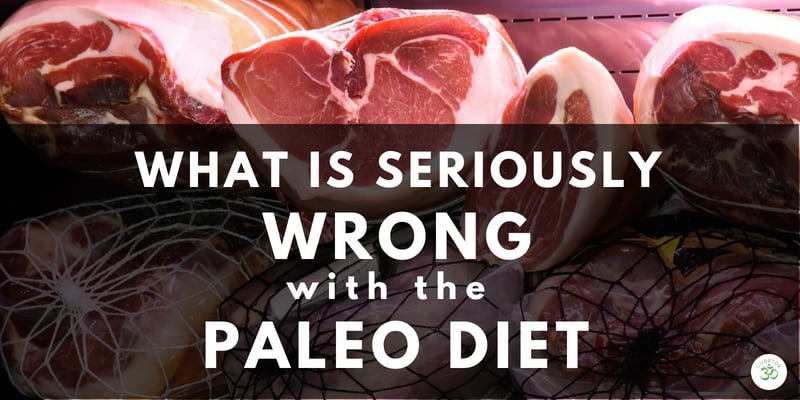 OMDetox - What is paleo diet