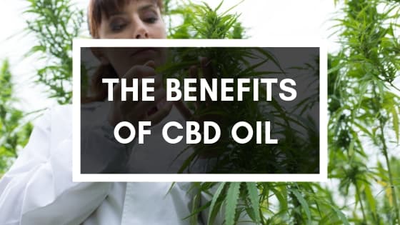the benefits of CBD oil from the hemp plant