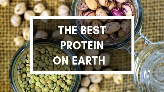 What is the best protein source on Earth? pictures of beans