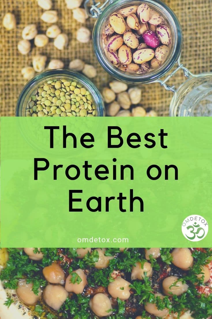 What is the best protein on Earth? Beans are vegan and healthier